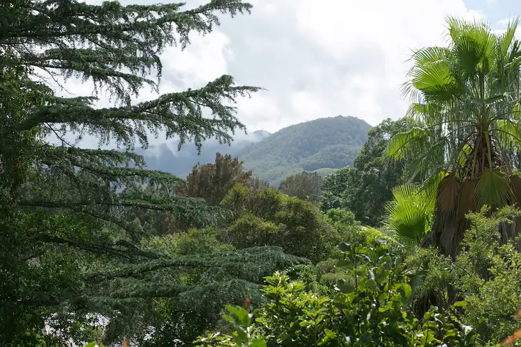 Fifth view of Homely house listing, 9 Brooks Lane, Kangaroo Valley NSW 2577