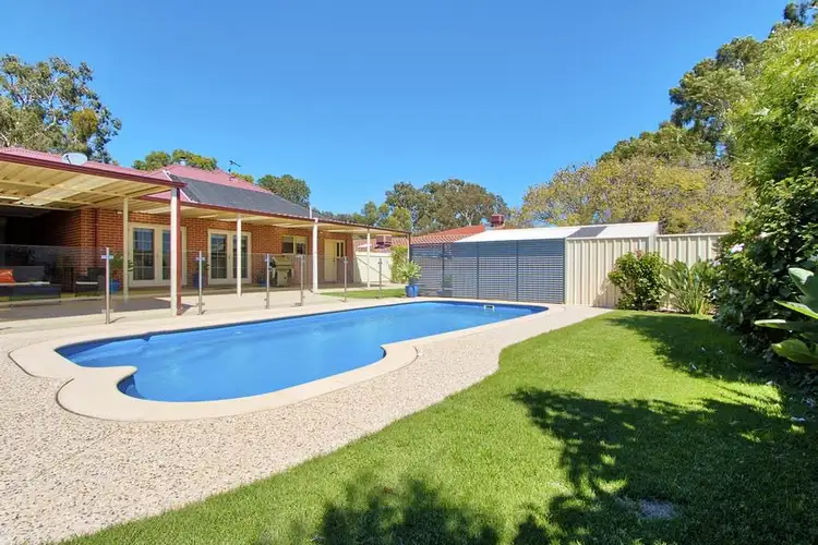 49 Addison Avenue, Athelstone SA 5076
