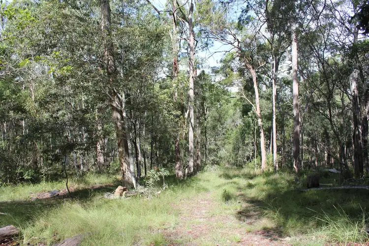 Second view of Homely rural property listing, 64 Hogan Road, Downsfield QLD 4570