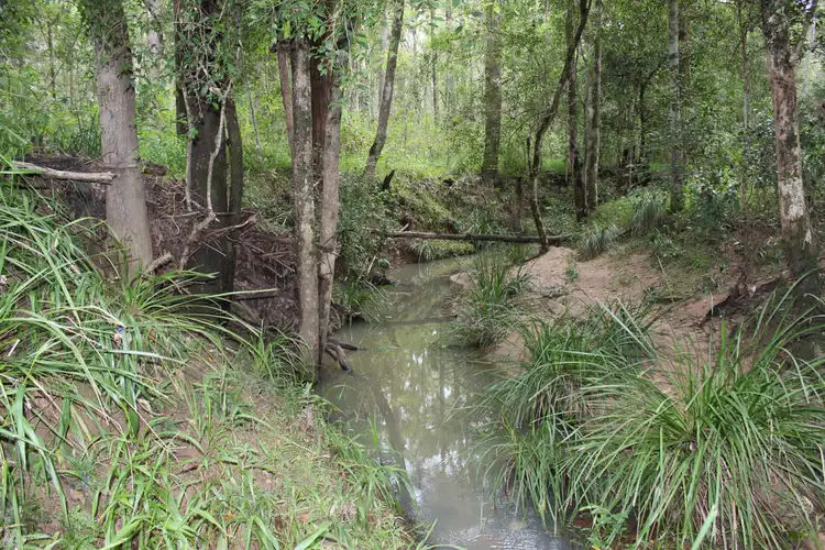 Third view of Homely rural property listing, 64 Hogan Road, Downsfield QLD 4570