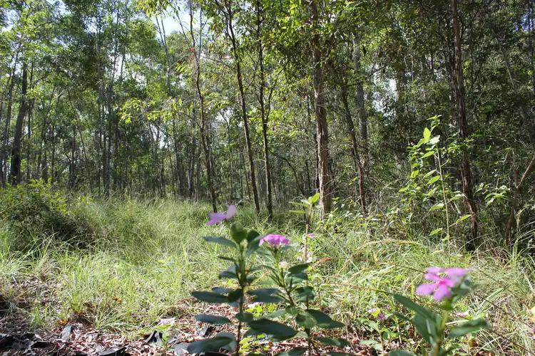Fourth view of Homely rural property listing, 64 Hogan Road, Downsfield QLD 4570