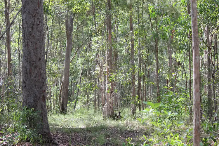 Seventh view of Homely rural property listing, 64 Hogan Road, Downsfield QLD 4570