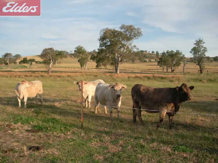 Fourth view of Homely land listing, 13 Beartooth Place, Tangambalanga VIC 3691