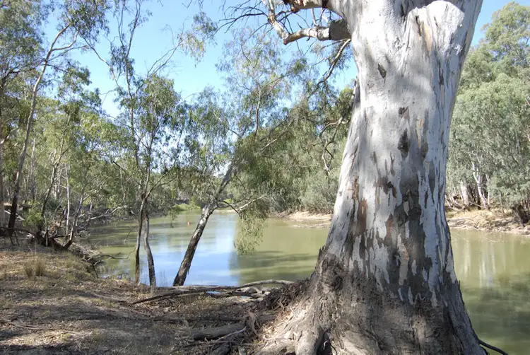 Sixth view of Homely rural property listing, Pickabinny 94 Lloyds Lane, Deniliquin NSW 2710