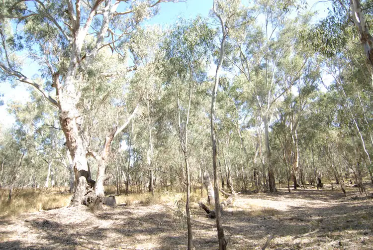 Seventh view of Homely rural property listing, Pickabinny 94 Lloyds Lane, Deniliquin NSW 2710