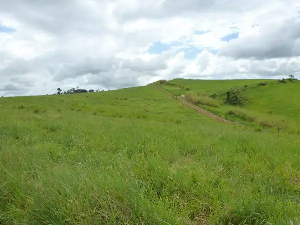 Seventh view of Homely rural property listing, Address available on request