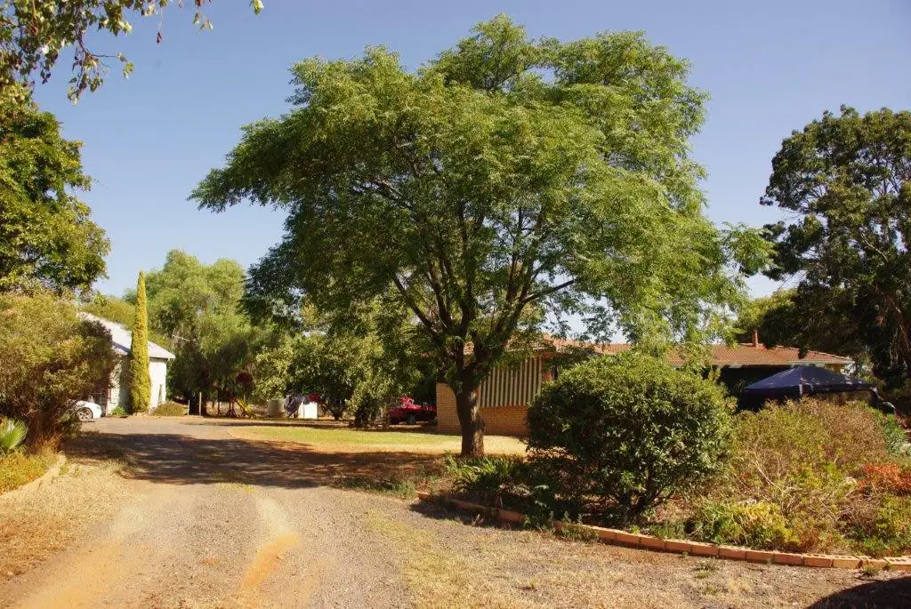 Main view of Homely rural property listing, 120 Tarwong Lane, Maryvale via, Wellington NSW 2820