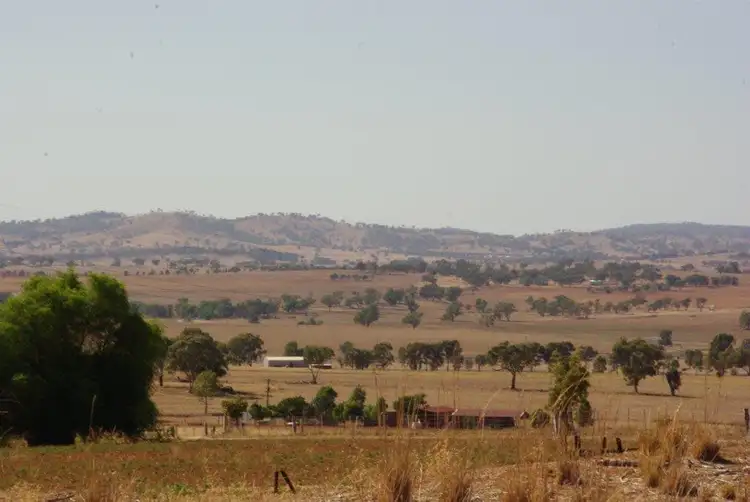 Second view of Homely rural property listing, 120 Tarwong Lane, Maryvale via, Wellington NSW 2820