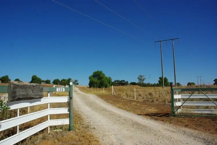Third view of Homely rural property listing, 120 Tarwong Lane, Maryvale via, Wellington NSW 2820