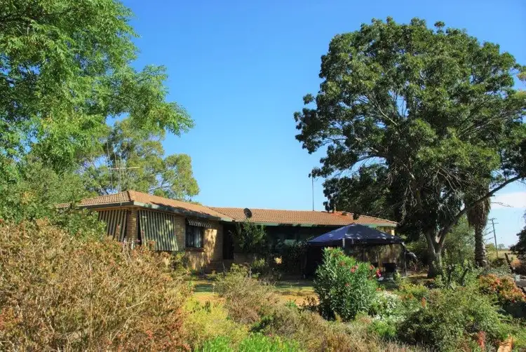 Fifth view of Homely rural property listing, 120 Tarwong Lane, Maryvale via, Wellington NSW 2820