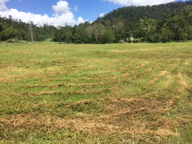 Fifth view of Homely land listing, 17 Moon Crescent, Sugarloaf QLD 4800