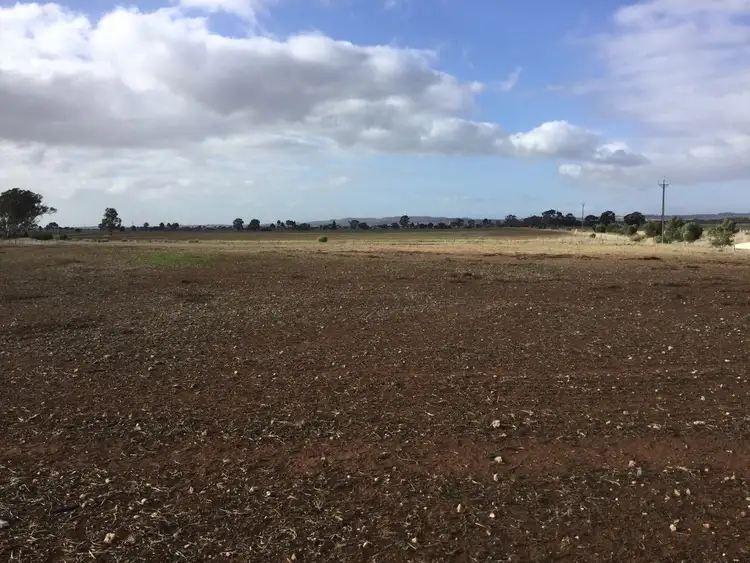Lot 534 Sturt Highway, Shea-oak Log SA 5371