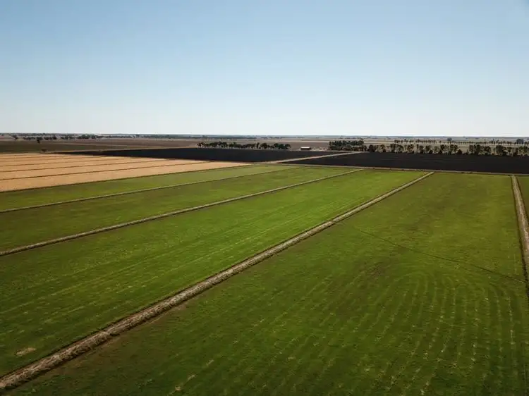 Fifth view of Homely rural property listing, 73 Maws Road, Deniliquin NSW 2710