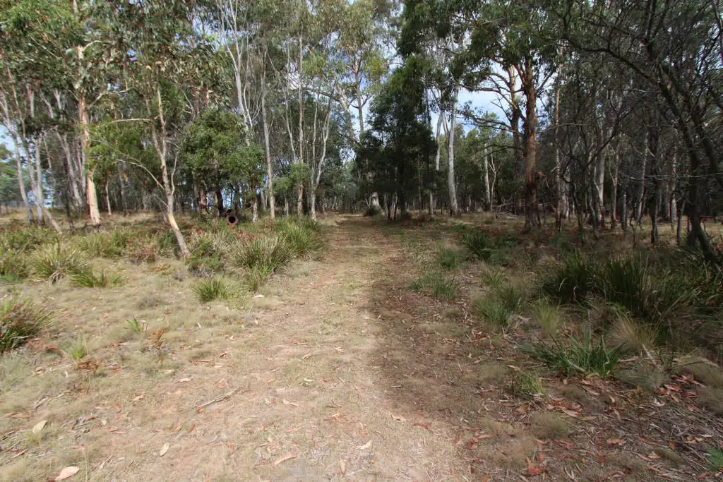 Main view of Homely rural property listing, Lot 14, 1238 Sunny Corner Road, Sunny Corner NSW 2795