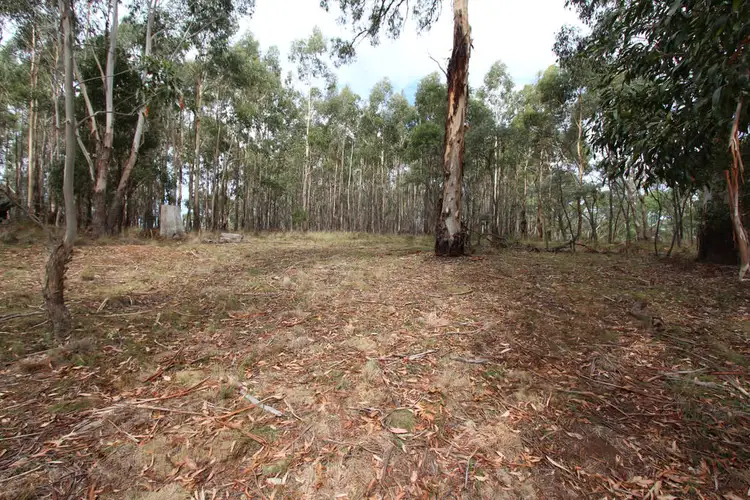 Third view of Homely rural property listing, Lot 14, 1238 Sunny Corner Road, Sunny Corner NSW 2795