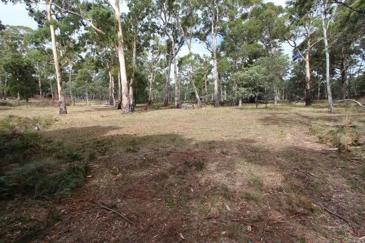 Fourth view of Homely rural property listing, Lot 14, 1238 Sunny Corner Road, Sunny Corner NSW 2795