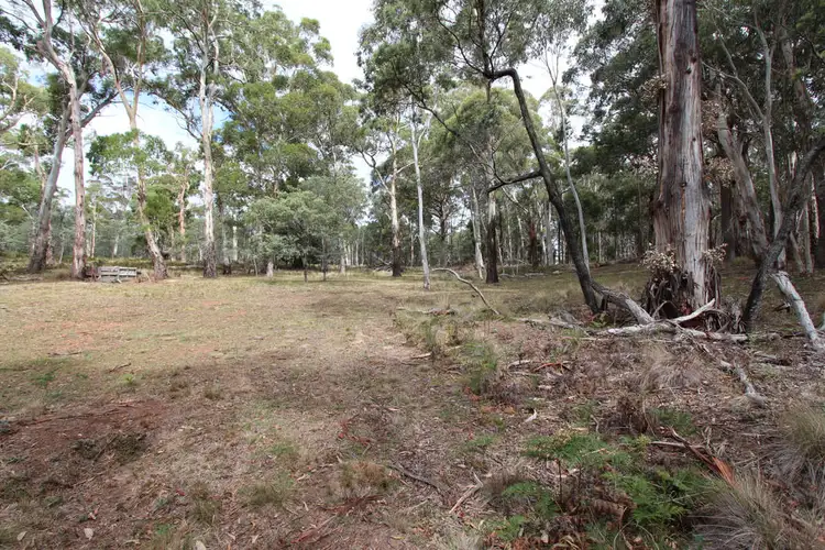 Fifth view of Homely rural property listing, Lot 14, 1238 Sunny Corner Road, Sunny Corner NSW 2795