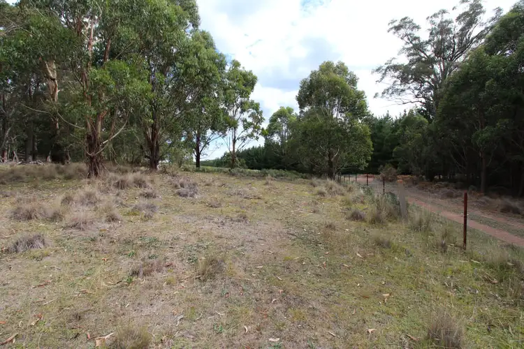 Sixth view of Homely rural property listing, Lot 14, 1238 Sunny Corner Road, Sunny Corner NSW 2795
