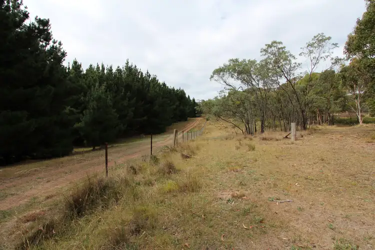 Seventh view of Homely rural property listing, Lot 14, 1238 Sunny Corner Road, Sunny Corner NSW 2795