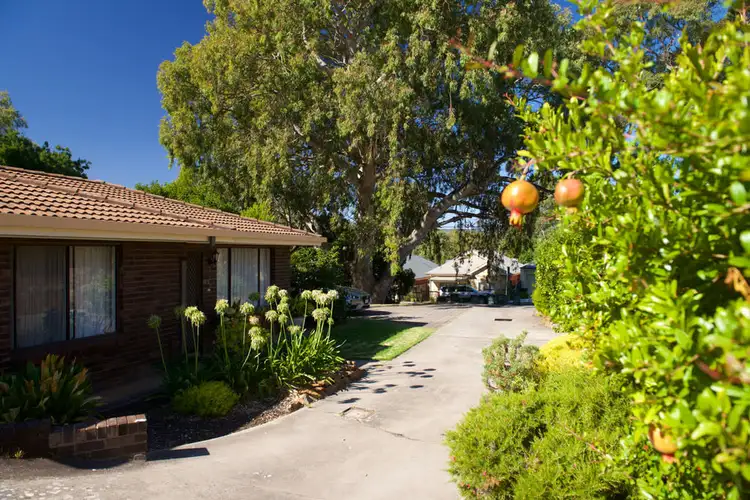 Main view of Homely unit listing, 3/38 Station Avenue, Blackwood SA 5051