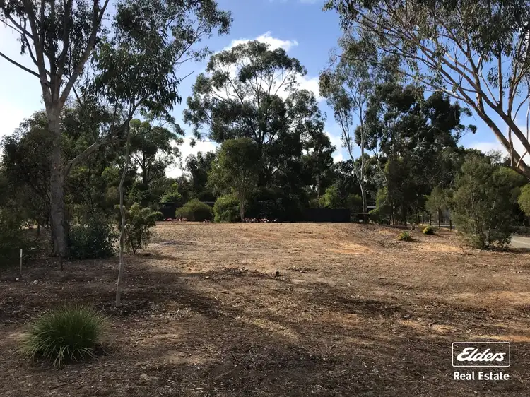 Main view of Homely land listing, Lot 1 Adams Road, Williamstown SA 5351
