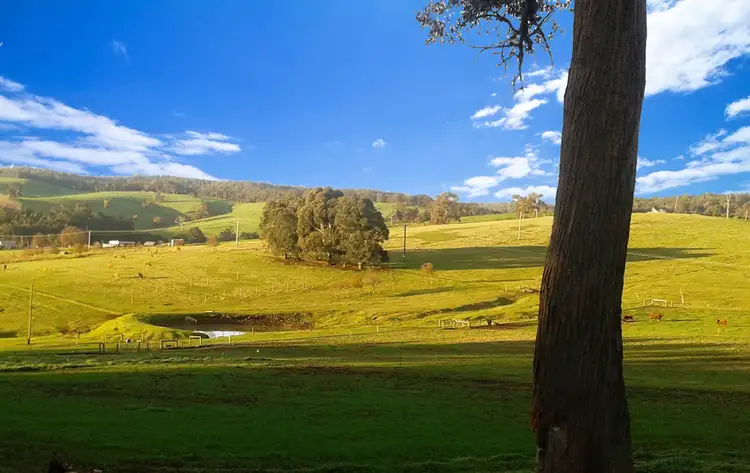 Second view of Homely rural property listing, 286 Beelerup Road, Beelerup WA 6239