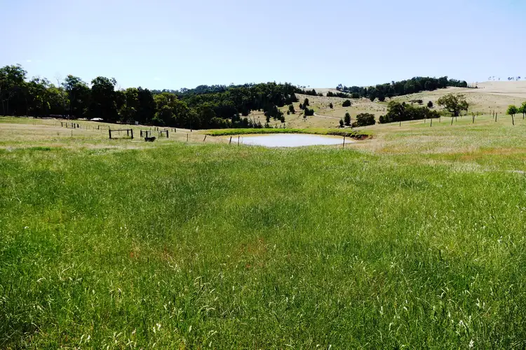 Third view of Homely rural property listing, 286 Beelerup Road, Beelerup WA 6239