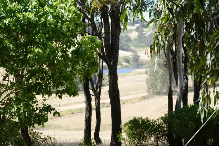 Seventh view of Homely rural property listing, 286 Beelerup Road, Beelerup WA 6239