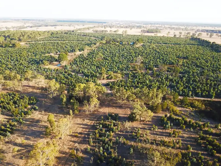 Main view of Homely rural property listing, 105 Glendhu Road, Casterton VIC 3311