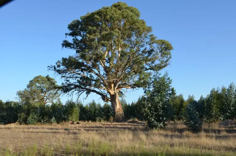 Fourth view of Homely rural property listing, 105 Glendhu Road, Casterton VIC 3311