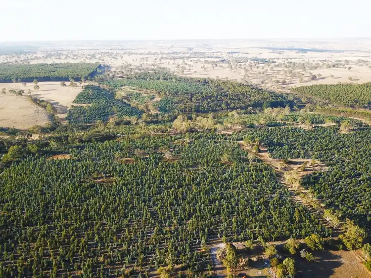 Sixth view of Homely rural property listing, 105 Glendhu Road, Casterton VIC 3311