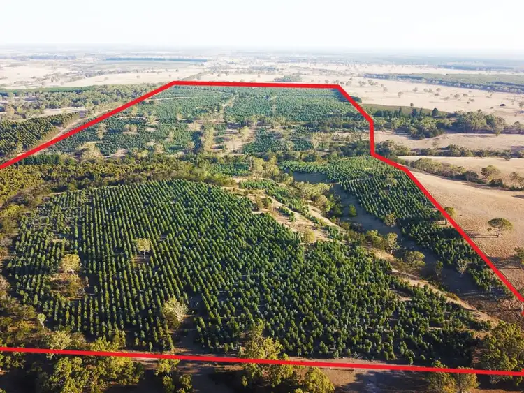 Seventh view of Homely rural property listing, 105 Glendhu Road, Casterton VIC 3311