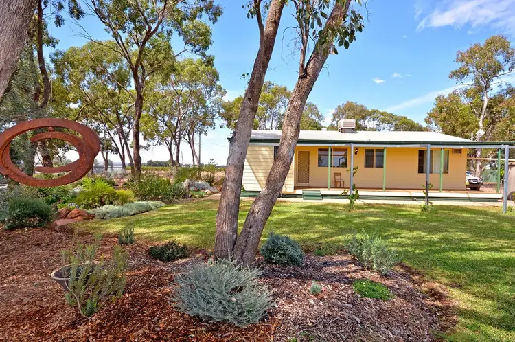 Main view of Homely house listing, 14 Henness Rd, Leeton NSW 2705