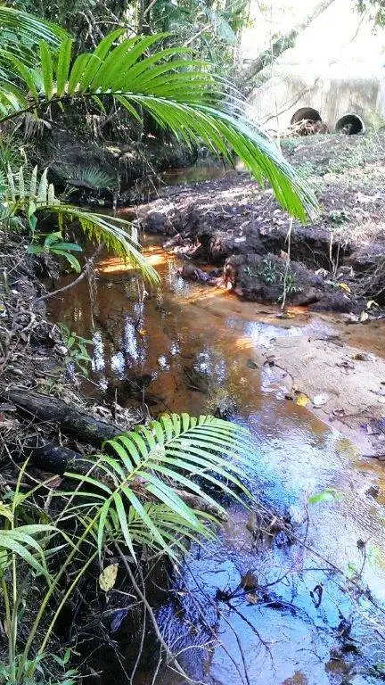 Sixth view of Homely land listing, Lot 2 (2066) Cape Tribulation Road, Daintree QLD 4873