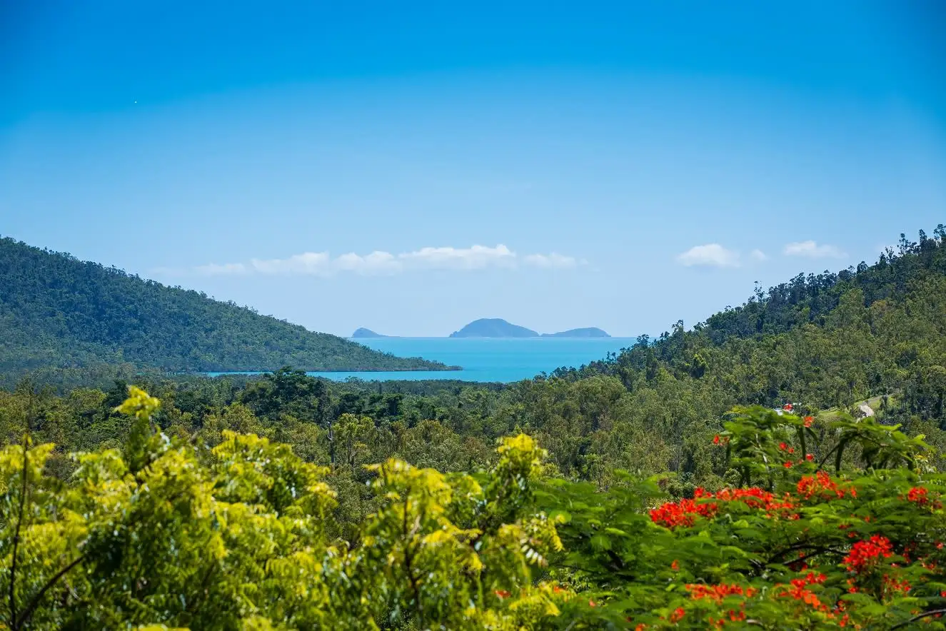 Main view of Homely house listing, 17 Mountain View, Woodwark QLD 4802