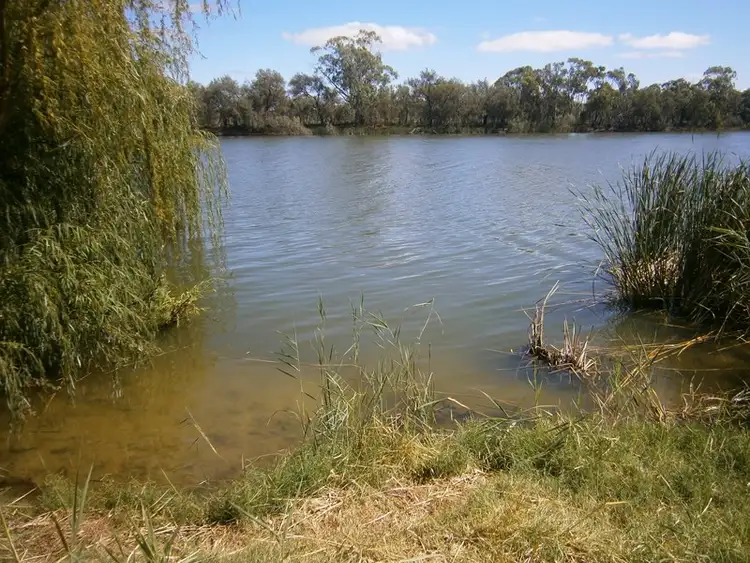 Second view of Homely rural property listing, 109 Noll Rod, Blanchetown SA 5357