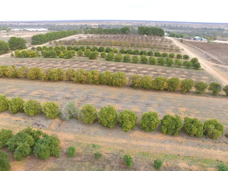 Third view of Homely rural property listing, 109 Noll Rod, Blanchetown SA 5357