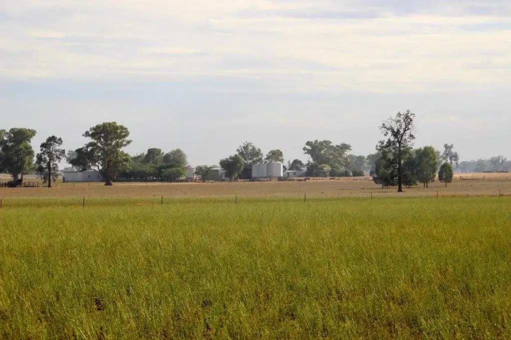 Main view of Homely rural property listing, Address available on request