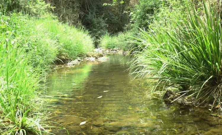 Second view of Homely rural property listing, 274 Mountain Top Road, Georgica NSW 2480