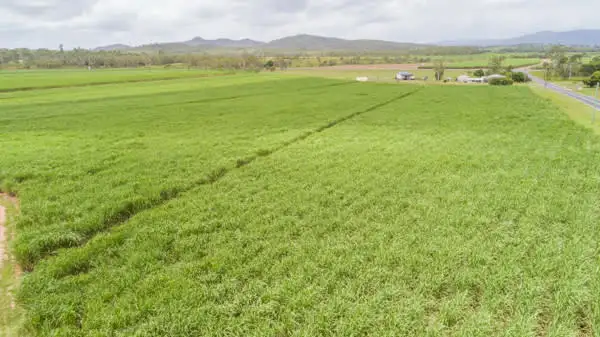 Lot 12 Victoria Plains Road, Victoria Plains QLD 4751