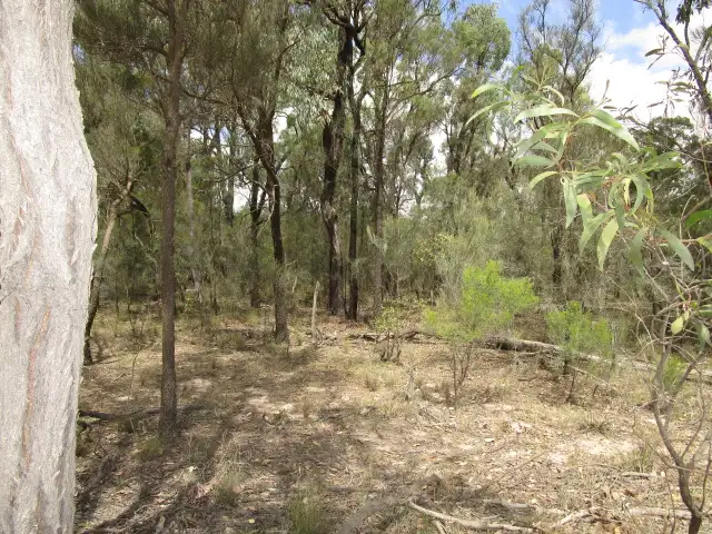 Main view of Homely rural property listing, LOT 195 MYRA ROAD, Tara QLD 4421