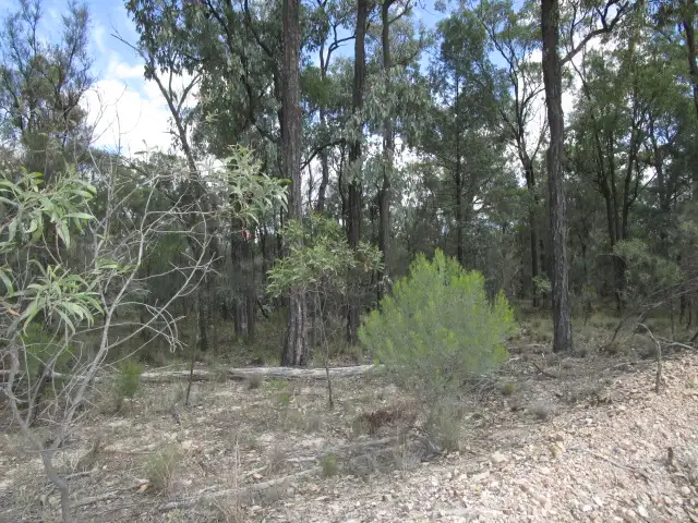 Second view of Homely rural property listing, LOT 195 MYRA ROAD, Tara QLD 4421