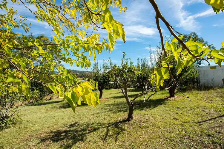 Fifth view of Homely house listing, 1769 Mrytle Mountain Road, Candelo NSW 2550