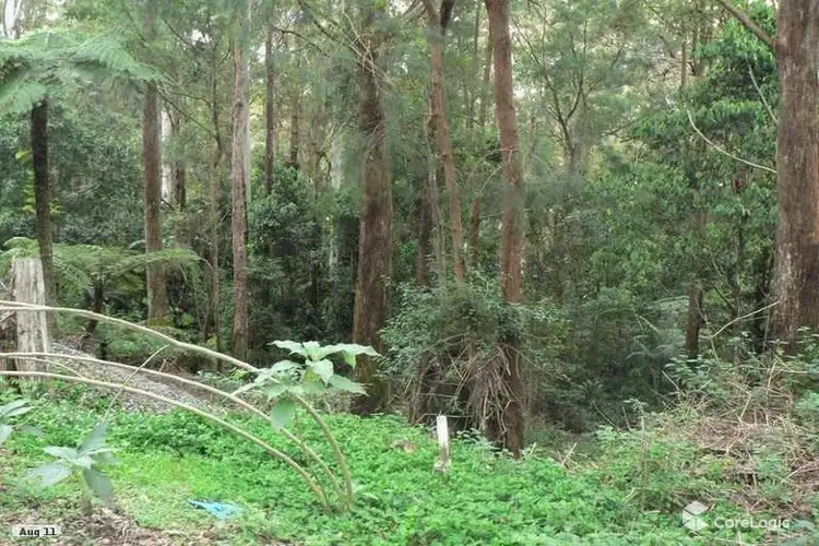 Third view of Homely land listing, 2195 Springbrook Road, Springbrook QLD 4213