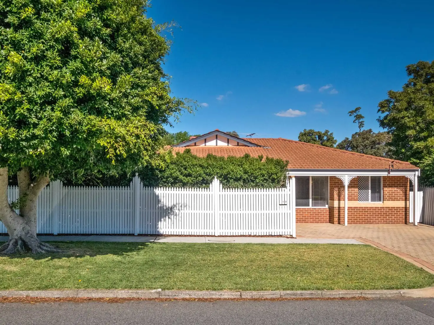 Main view of Homely house listing, 19 Adelphi Street, Bayswater WA 6053
