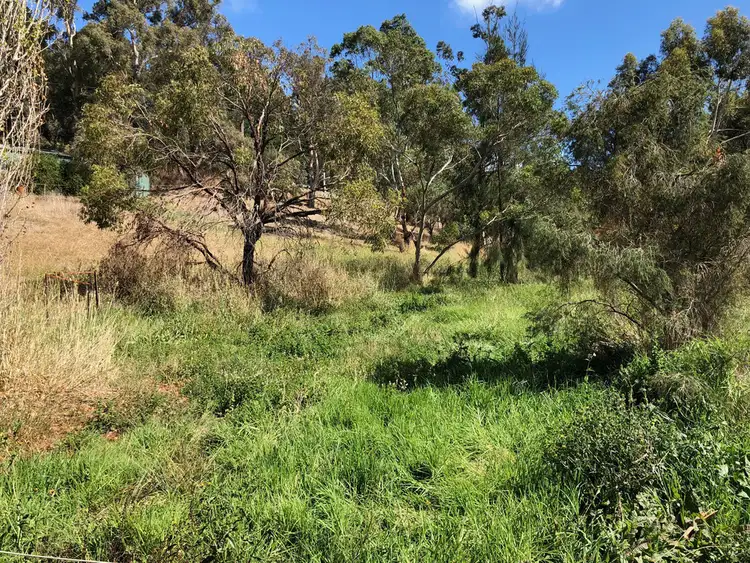 Sixth view of Homely land listing, Lots 2 & 3 Totness Road, Totness SA 5250