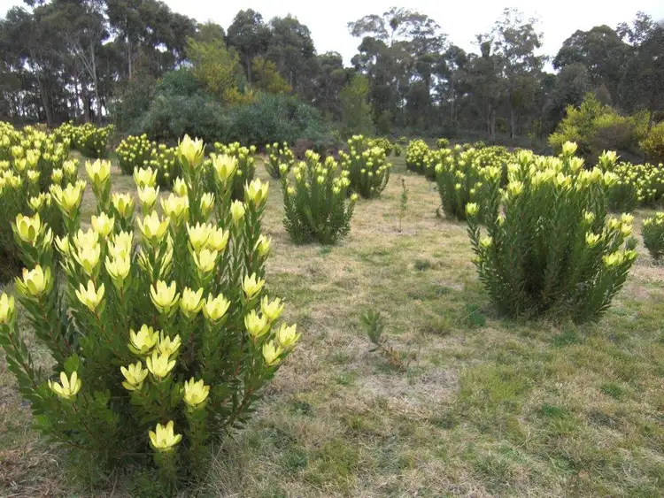 Fourth view of Homely rural property listing, 395 Back Corringle Road, Orbost VIC 3888