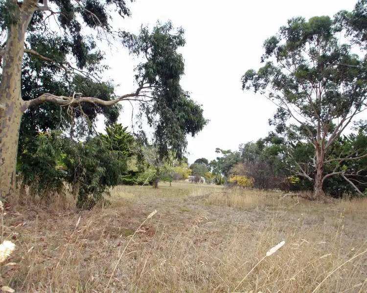 Main view of Homely land listing, Allot. 13 Gordon Street, Penola SA 5277