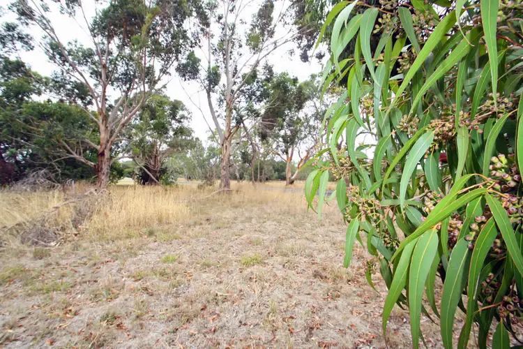 Third view of Homely land listing, Allot. 13 Gordon Street, Penola SA 5277