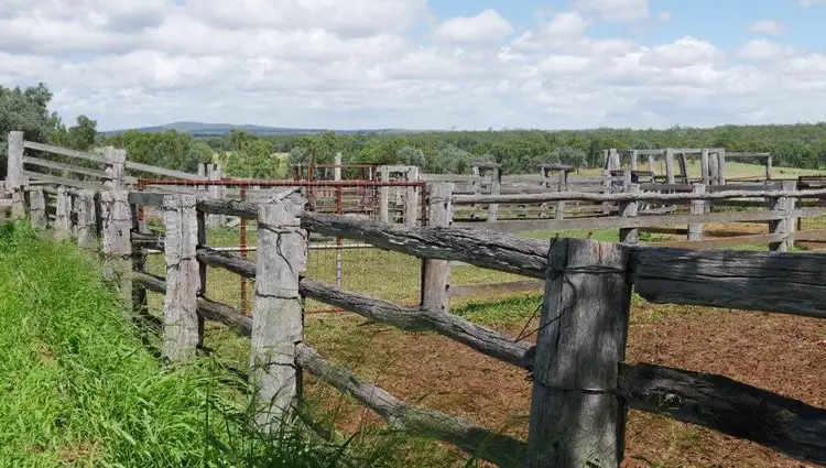 Fifth view of Homely rural property listing, 1128 ACRES CATTLE GRAZING, Wilkesdale QLD 4608